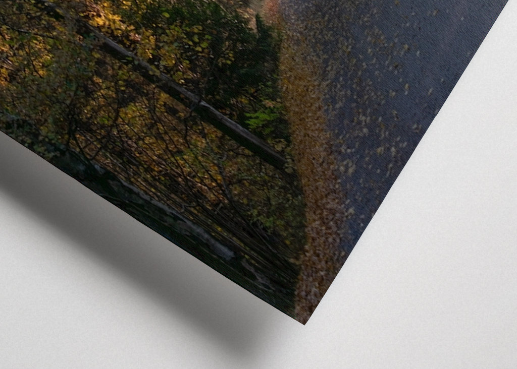  Podzimní procházka