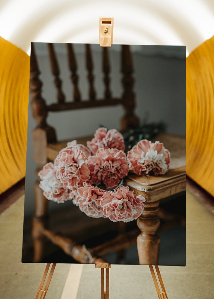 Růžové karafiáty