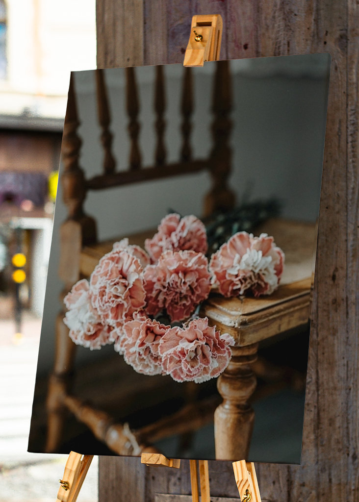 Růžové karafiáty