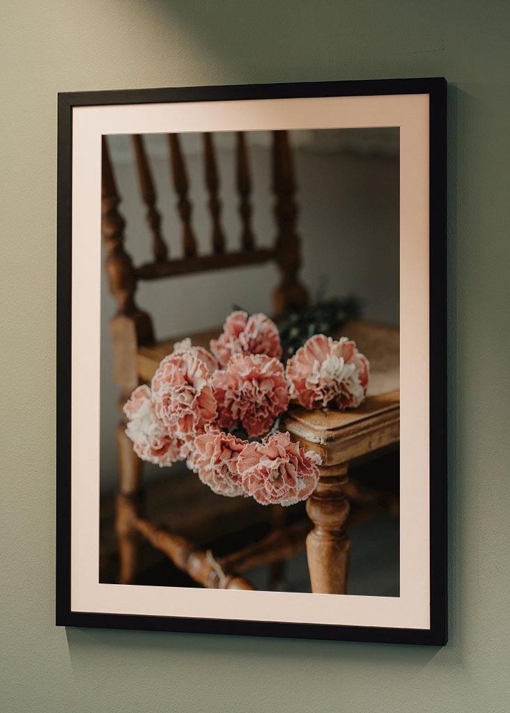 Růžové karafiáty