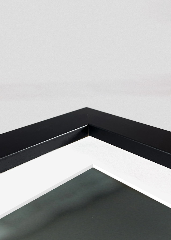 Růžové karafiáty