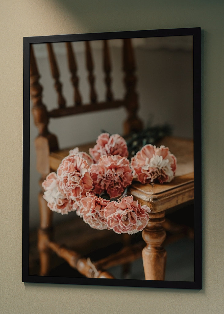 Růžové karafiáty