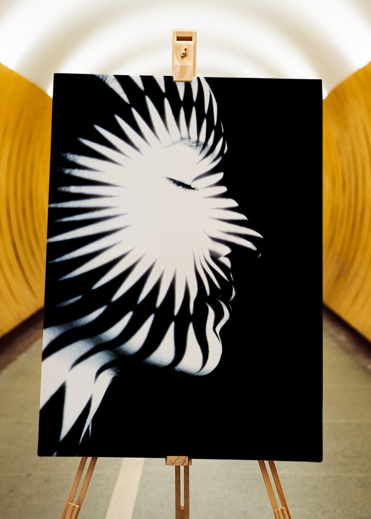 Het Meisje van de ster