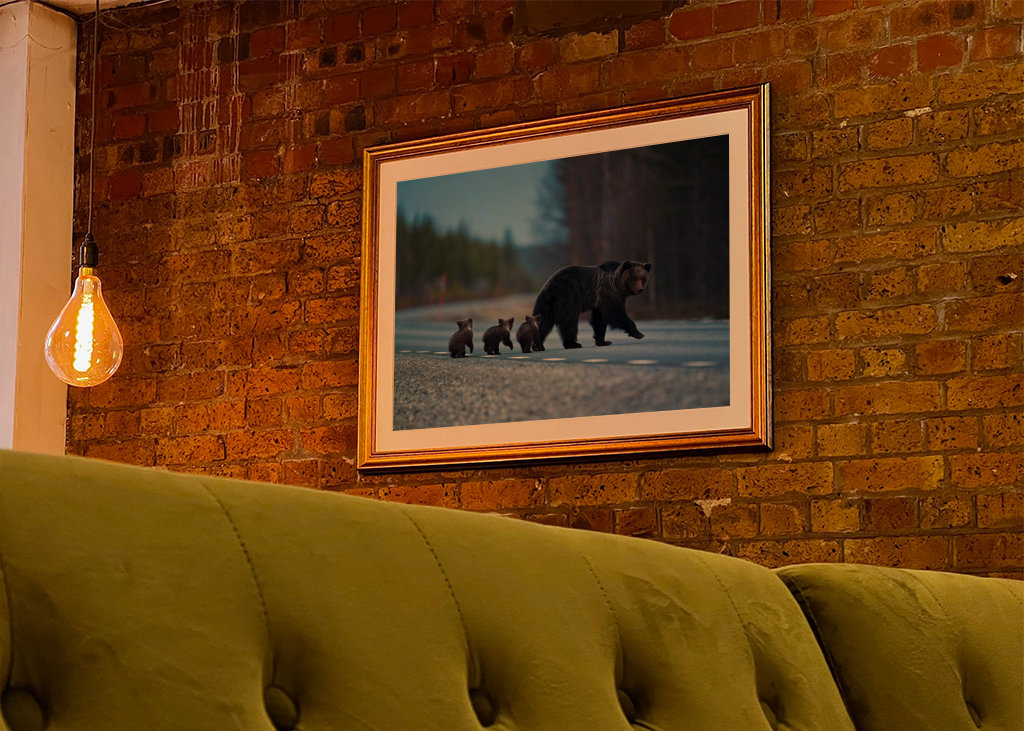 Female Brown bear with cubs