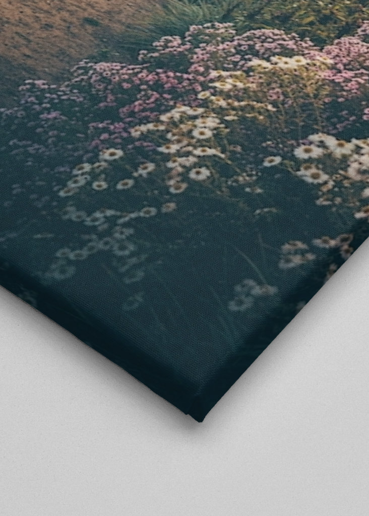 Door de mist & de bloemen