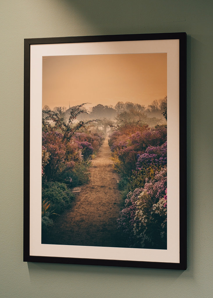 Door de mist & de bloemen