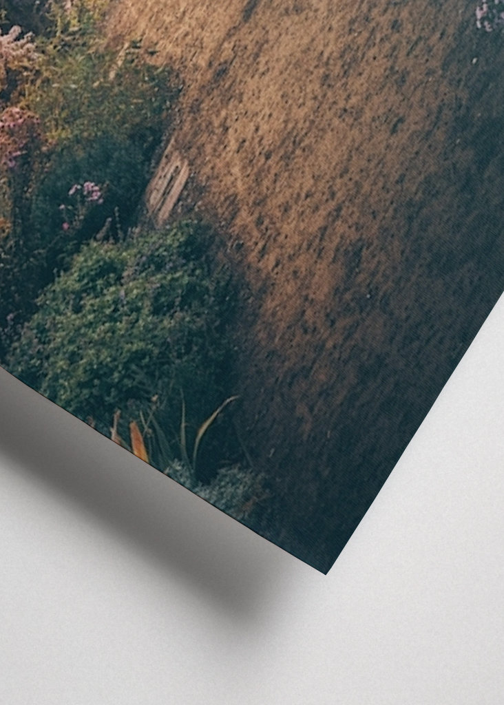 Door de mist & de bloemen