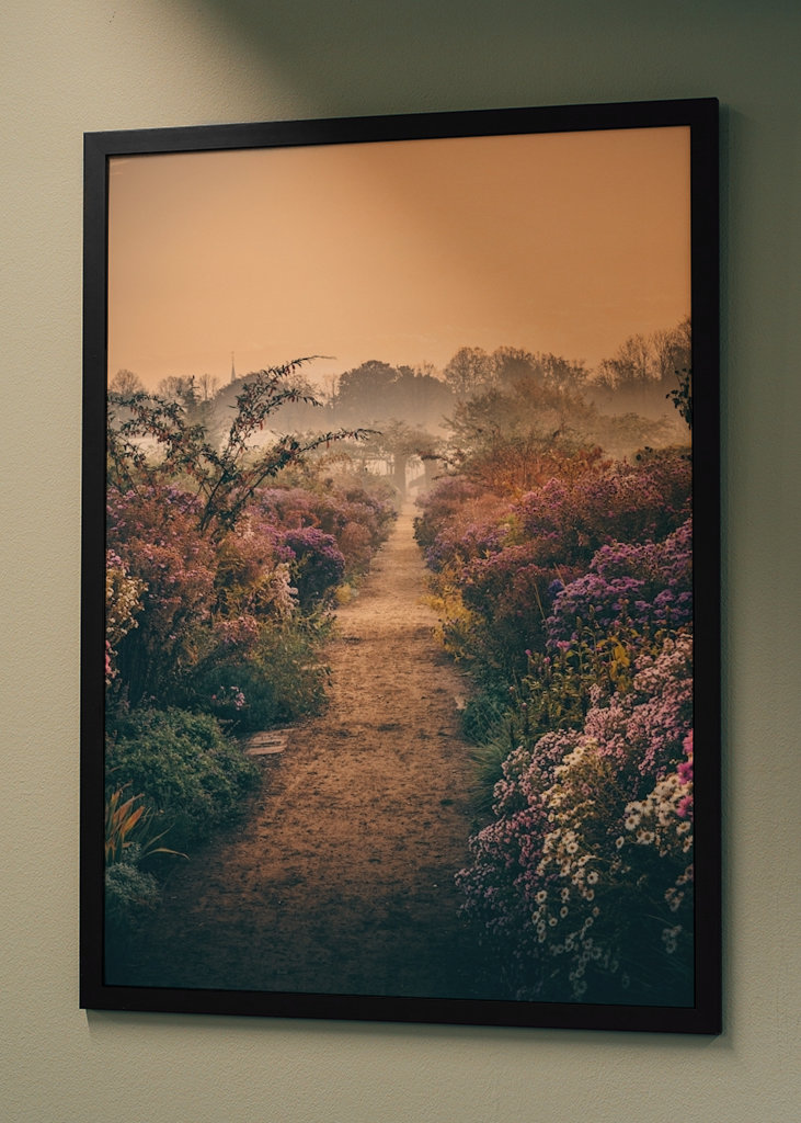 Door de mist & de bloemen