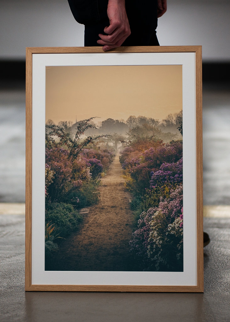 Door de mist & de bloemen