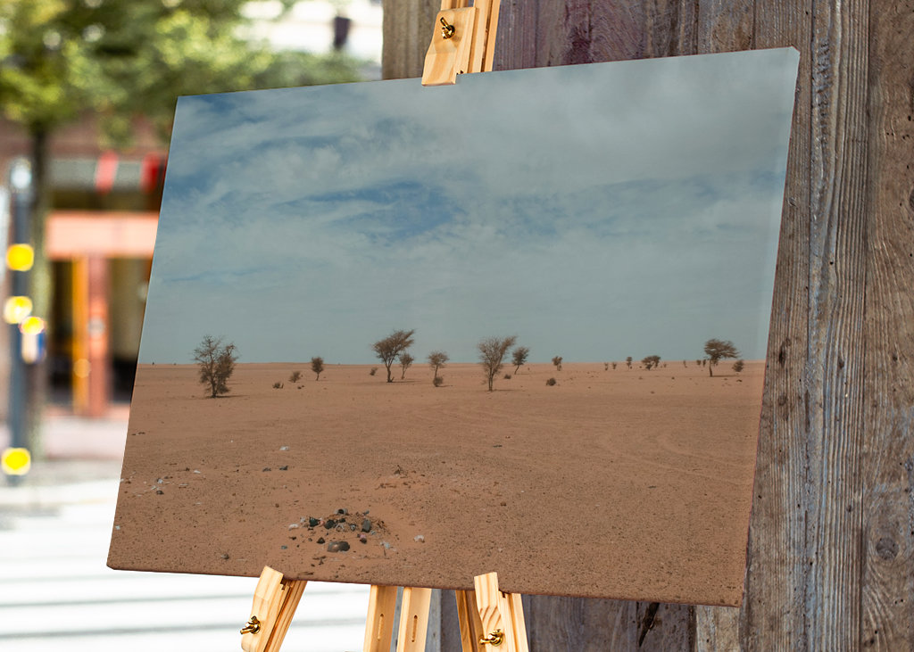 Het landschap van de woestijn