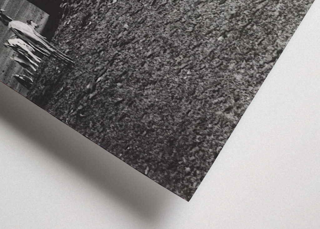 Sanddyner i horisonten