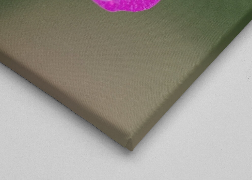 Blume mit Regentropfen