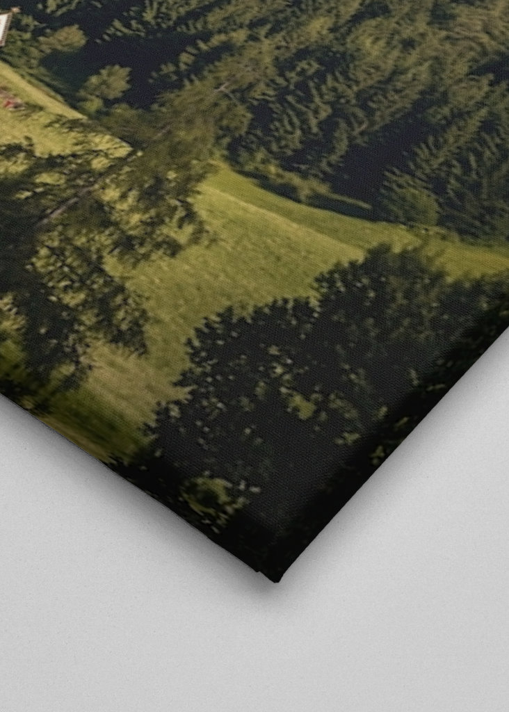 W otoczeniu gigantów