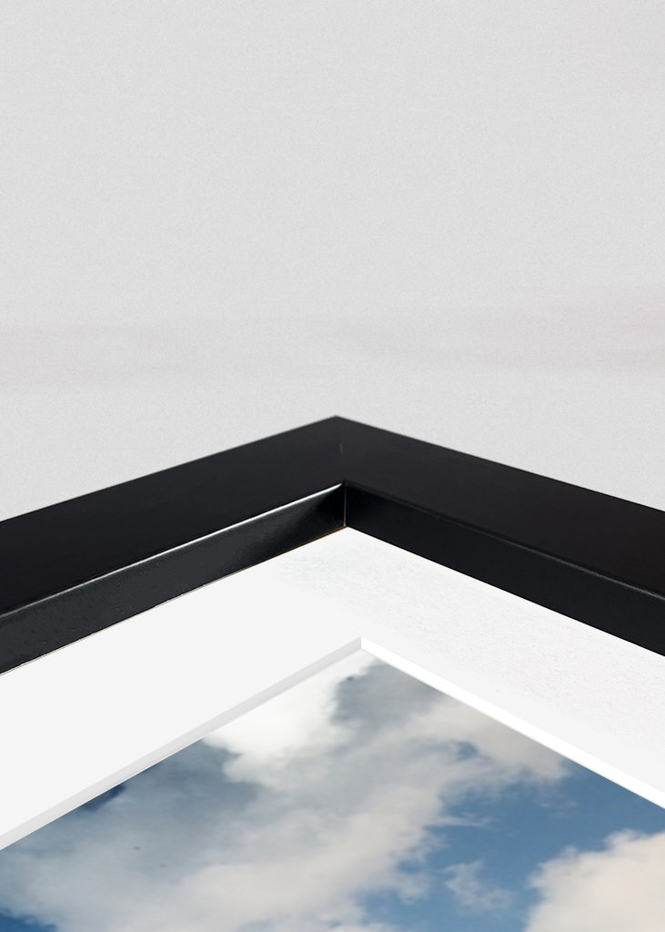 W otoczeniu gigantów