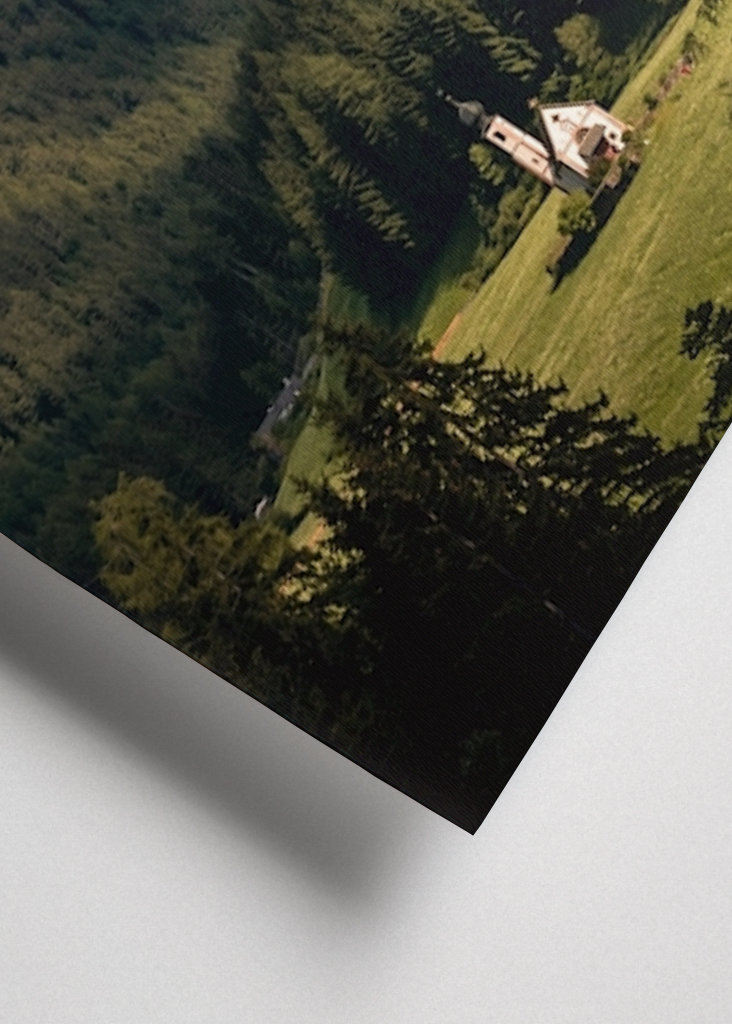 W otoczeniu gigantów