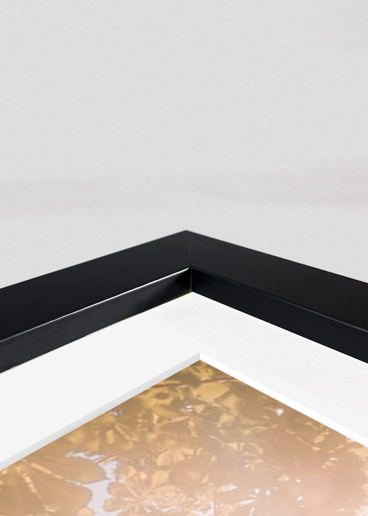 Solfylte dager i Paris