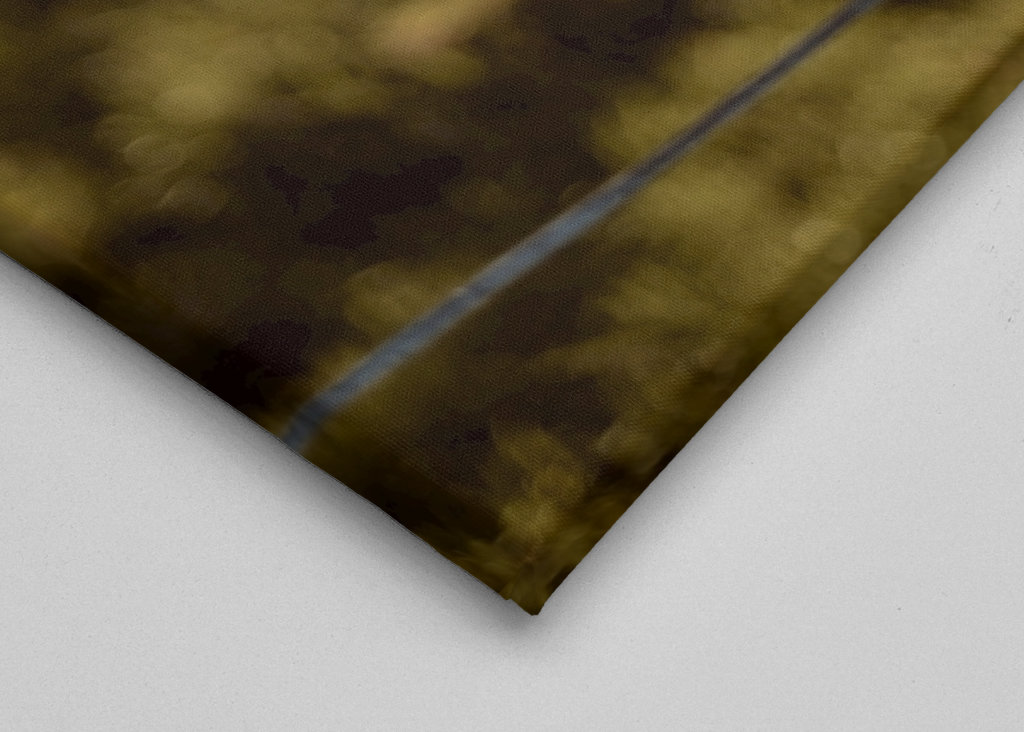 Gros plan sur la vache