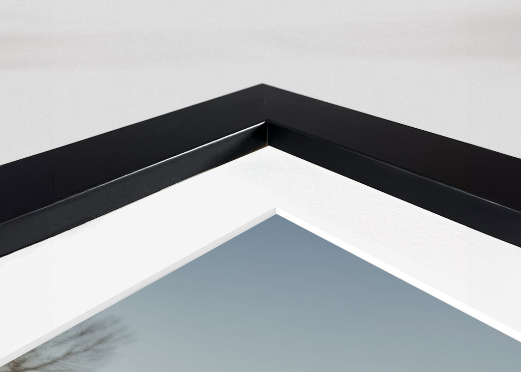 Portrait d’une vache