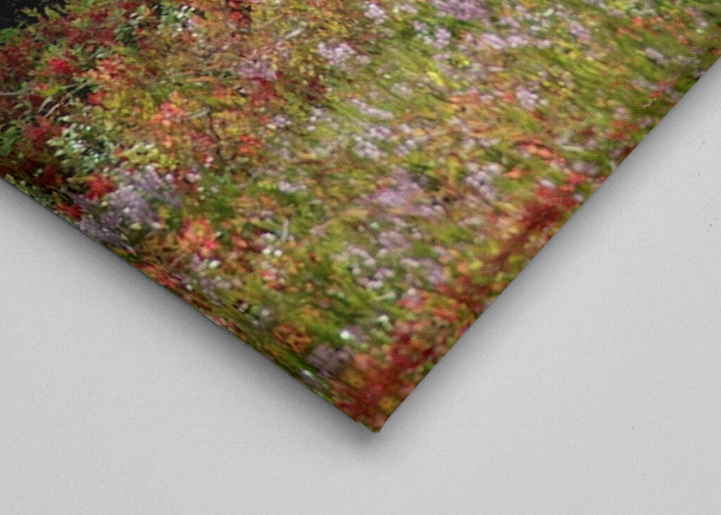 Bunte Heidelandschaft