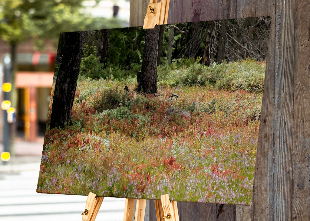 Bunte Heidelandschaft