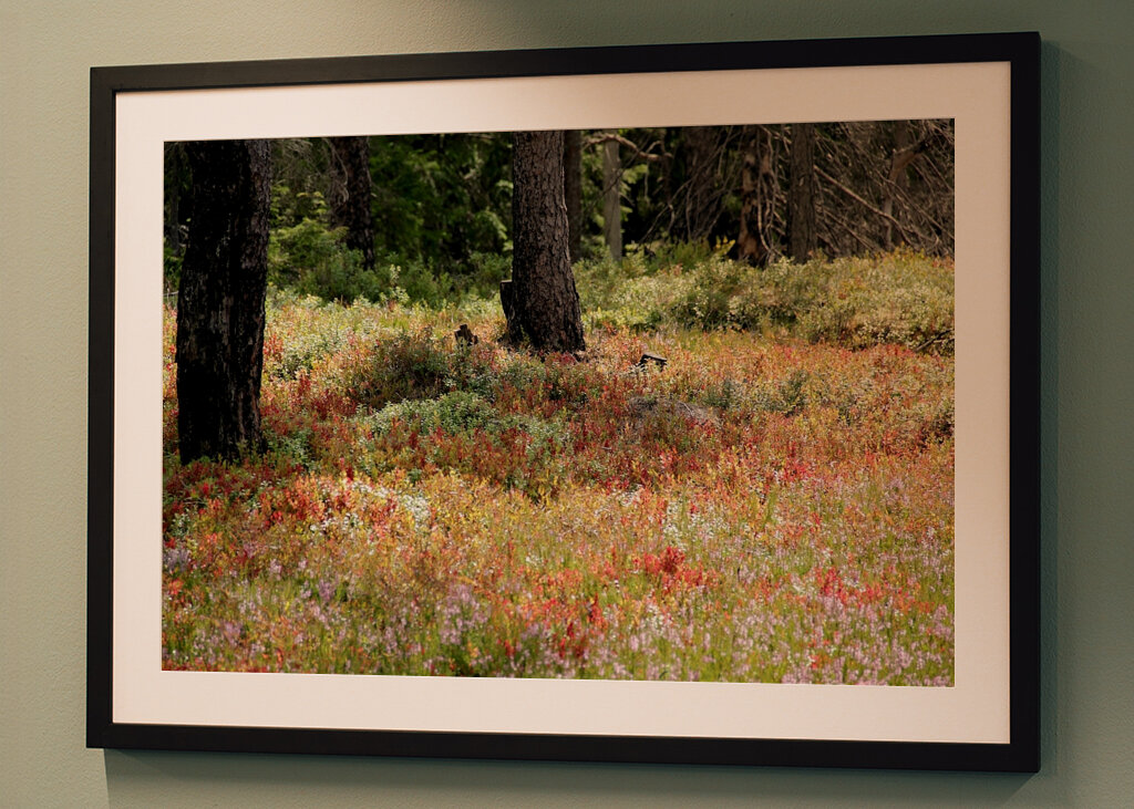 Bunte Heidelandschaft