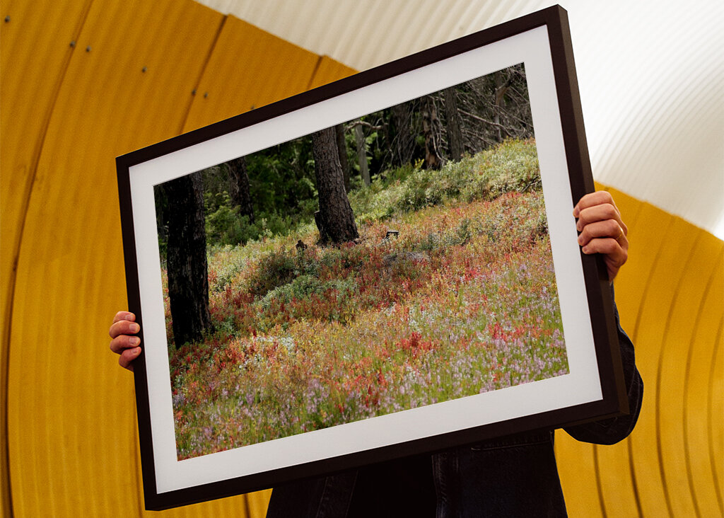 Bunte Heidelandschaft