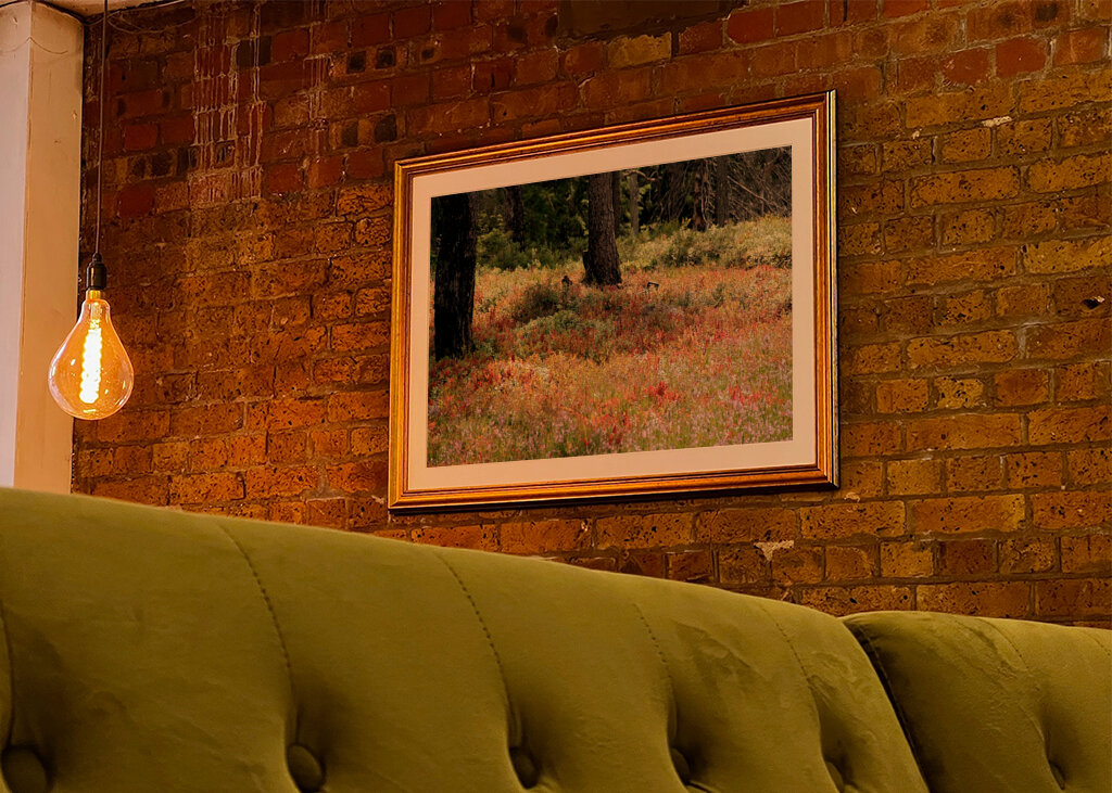 Bunte Heidelandschaft