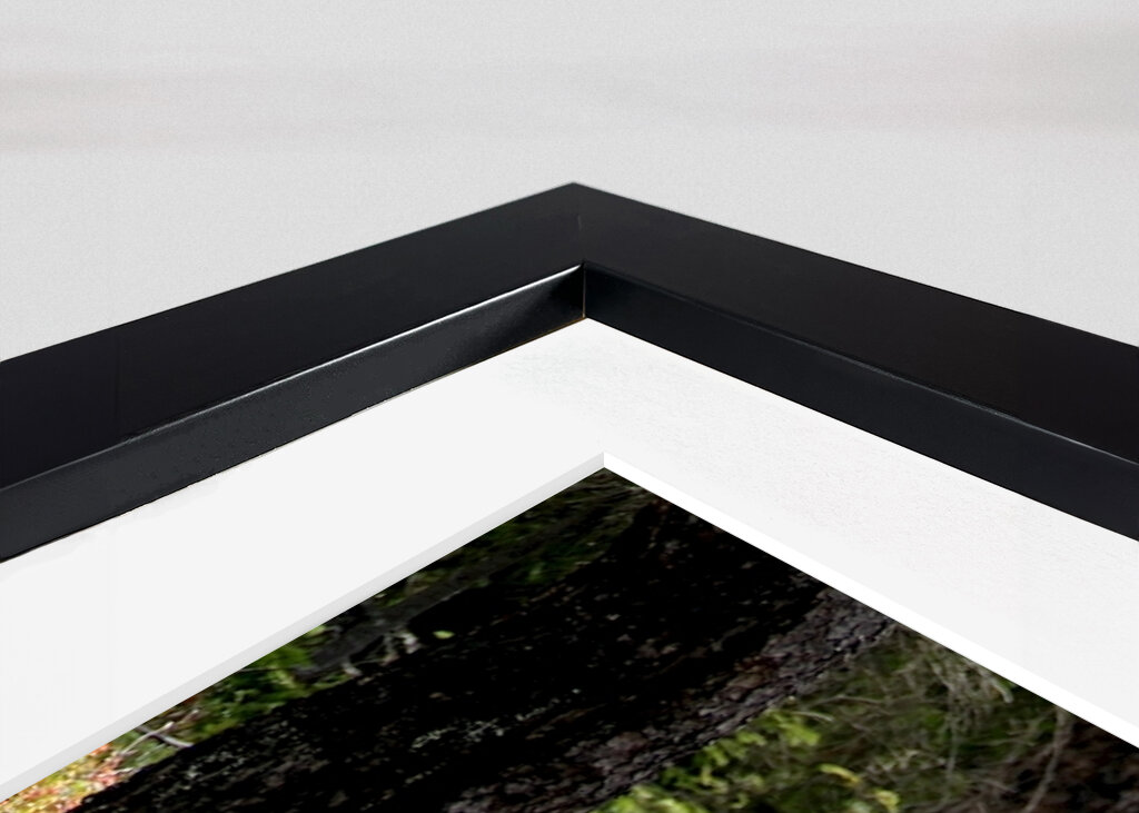 Bunte Heidelandschaft