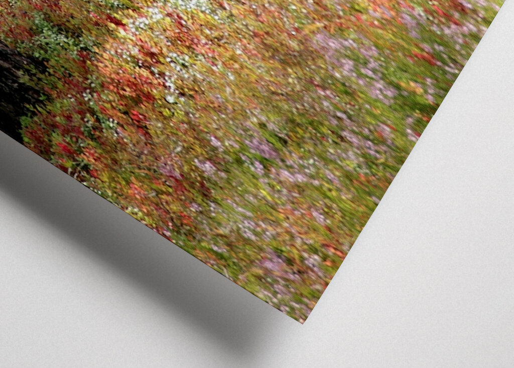 Bunte Heidelandschaft