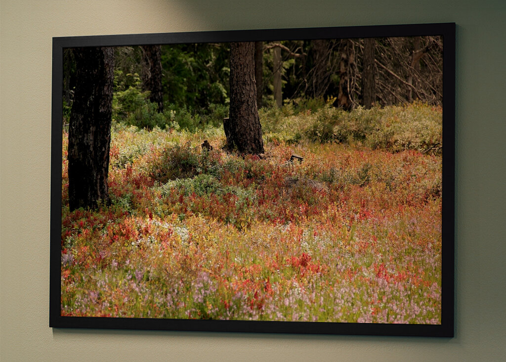 Bunte Heidelandschaft