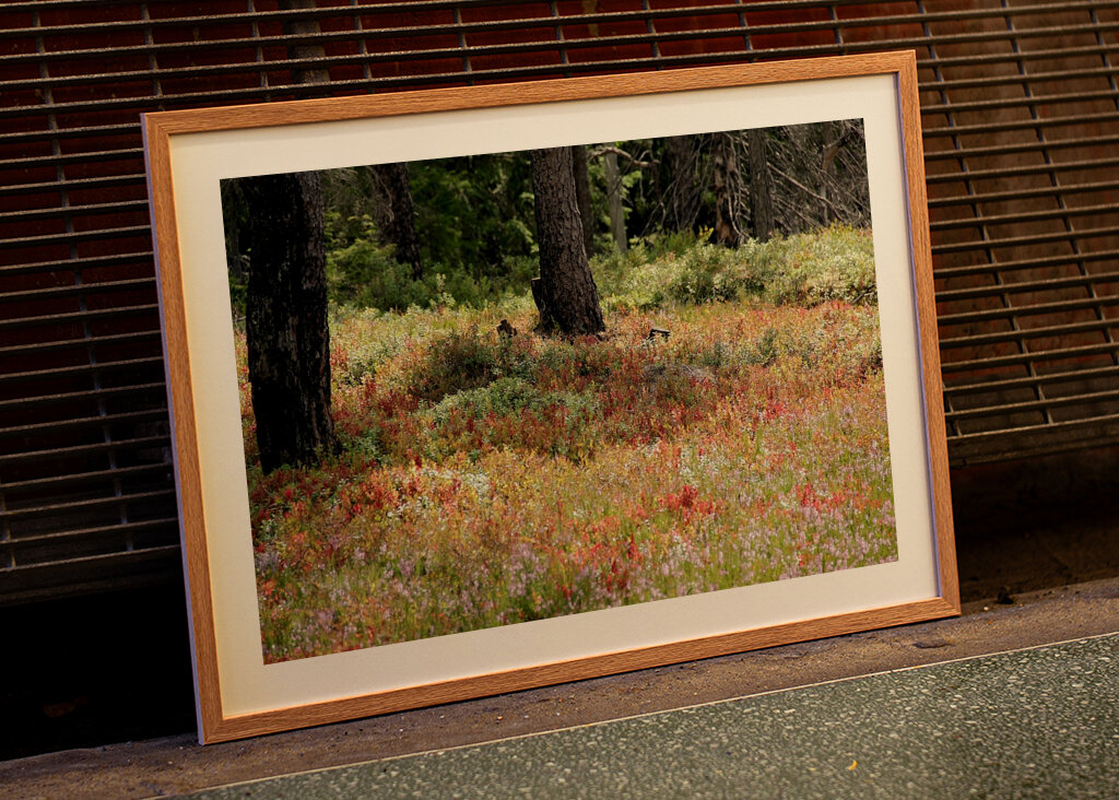Bunte Heidelandschaft