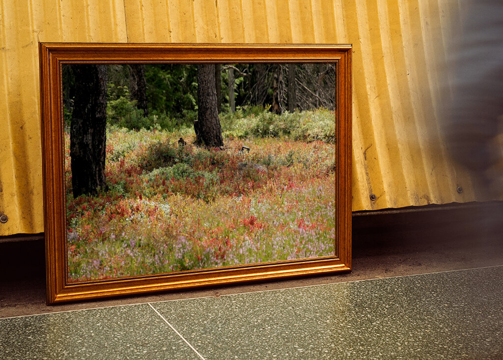 Bunte Heidelandschaft