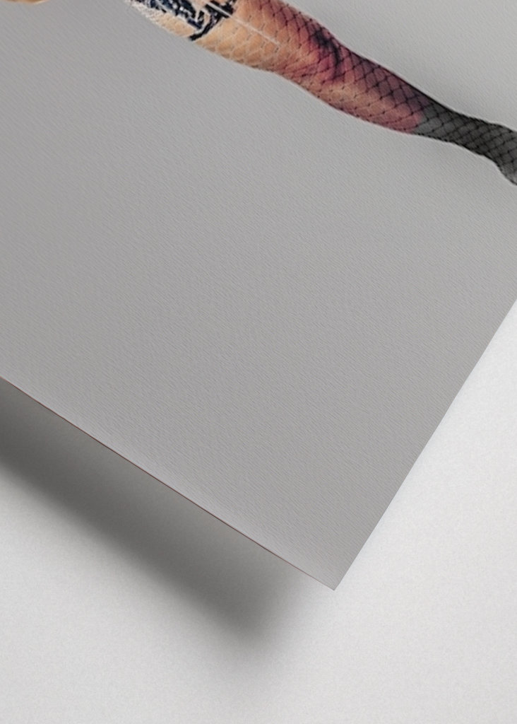 Avantgarde Ninja One Leg