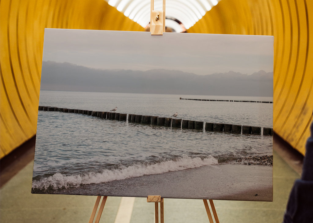 Baltic Sea beach with groynes