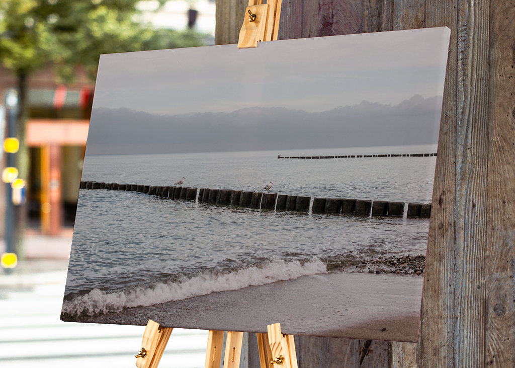 Baltic Sea beach with groynes