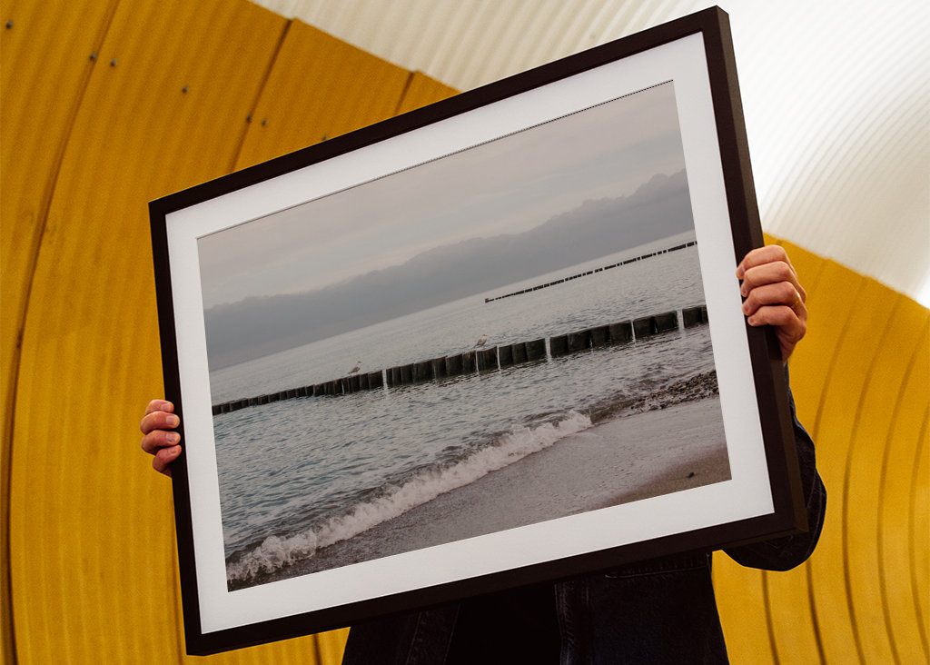 Baltic Sea beach with groynes