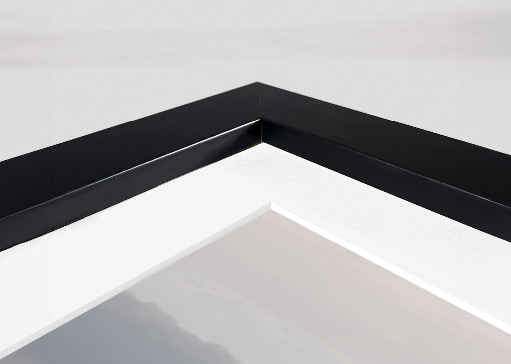 Baltic Sea beach with groynes