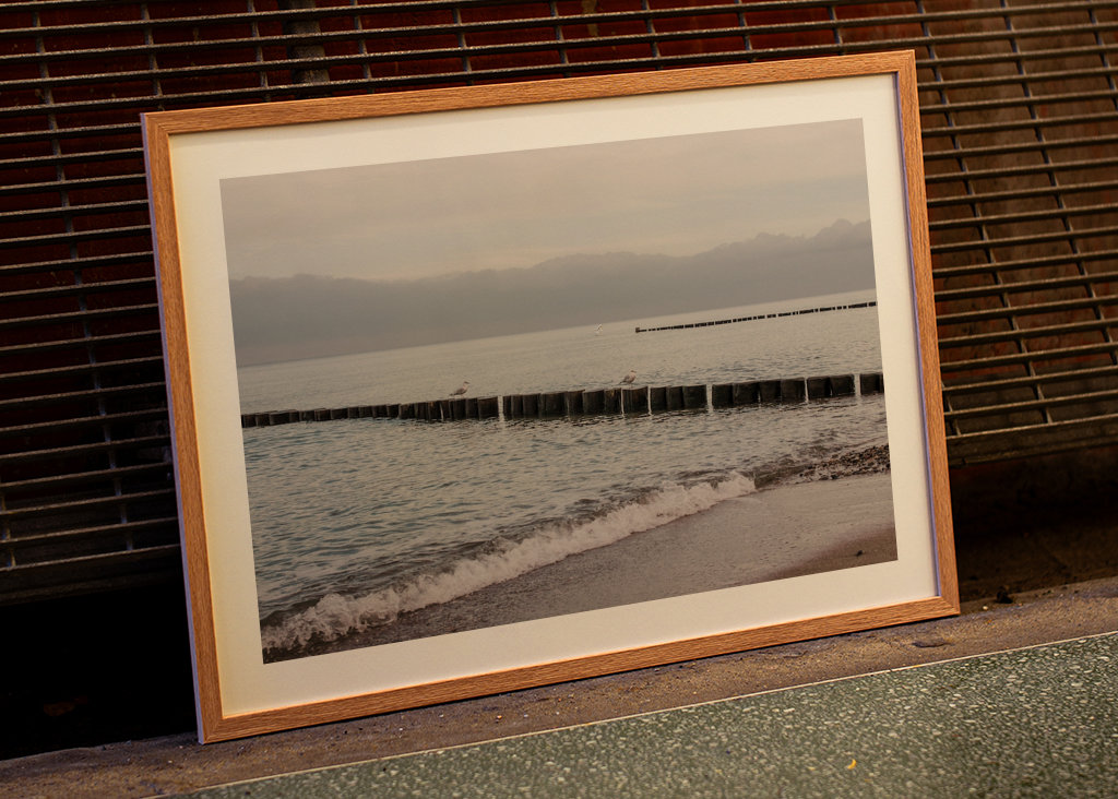 Baltic Sea beach with groynes
