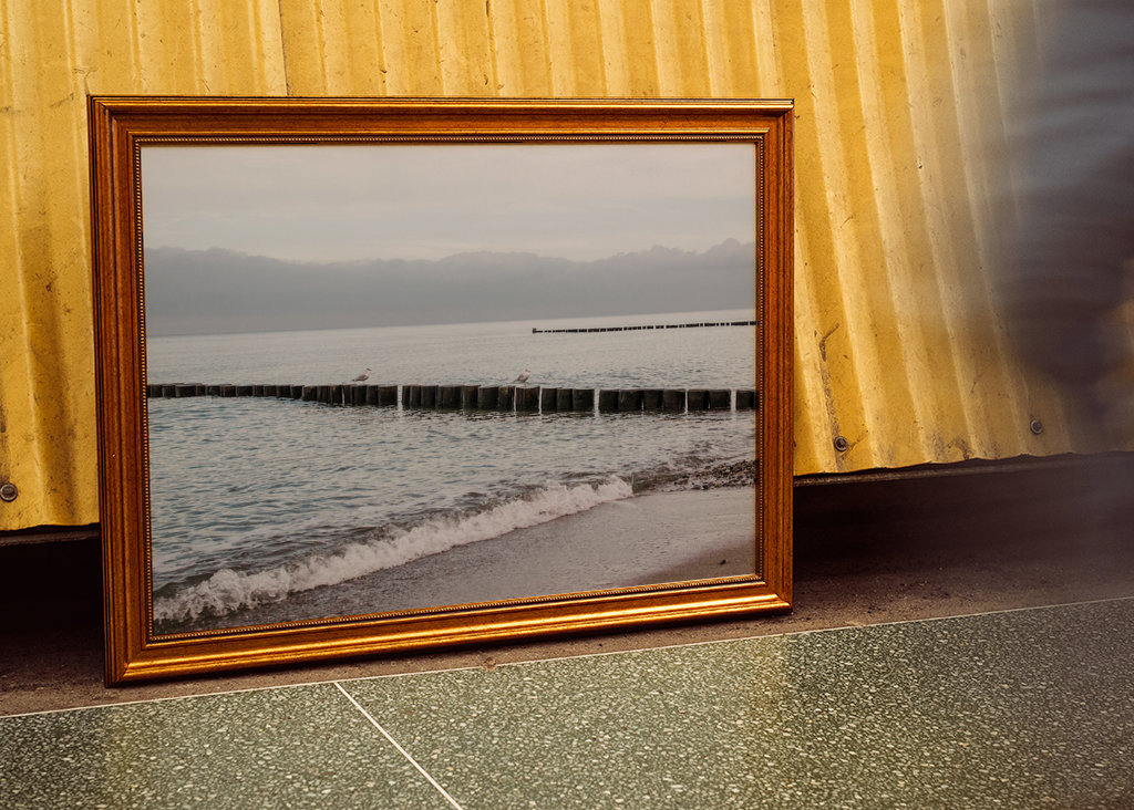 Baltic Sea beach with groynes