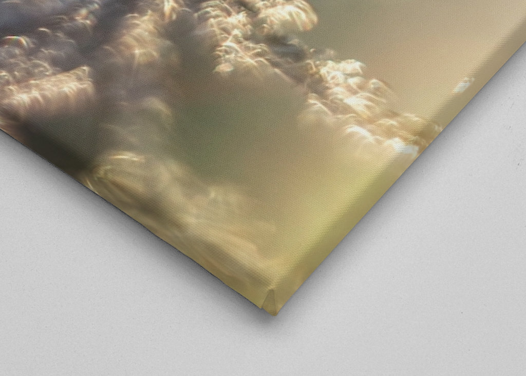 Huurteinen auringonlasku