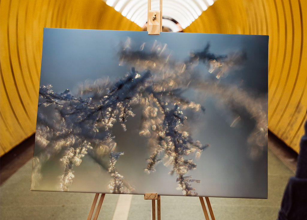 Huurteinen auringonlasku