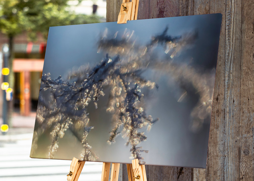 Huurteinen auringonlasku