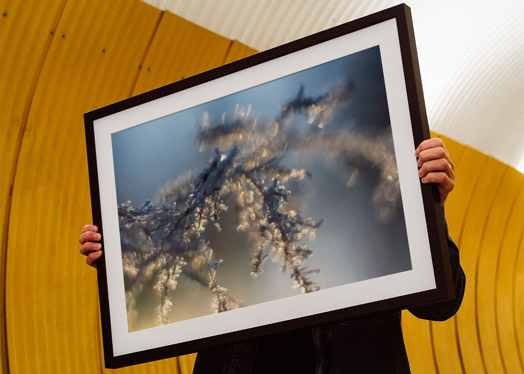 Huurteinen auringonlasku