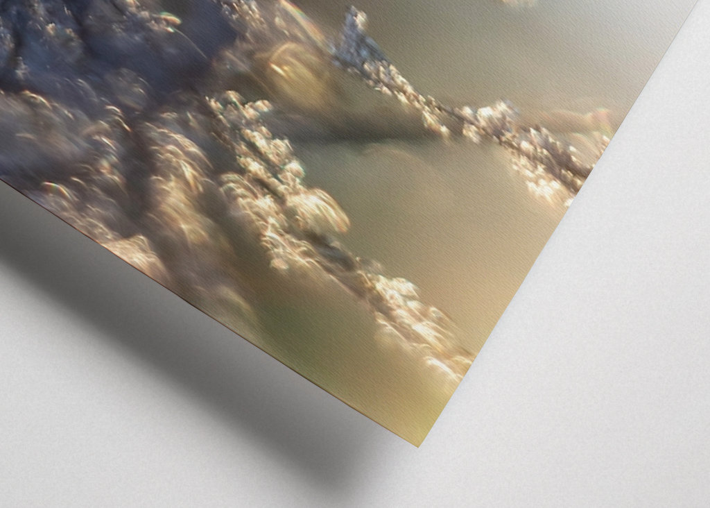 Huurteinen auringonlasku