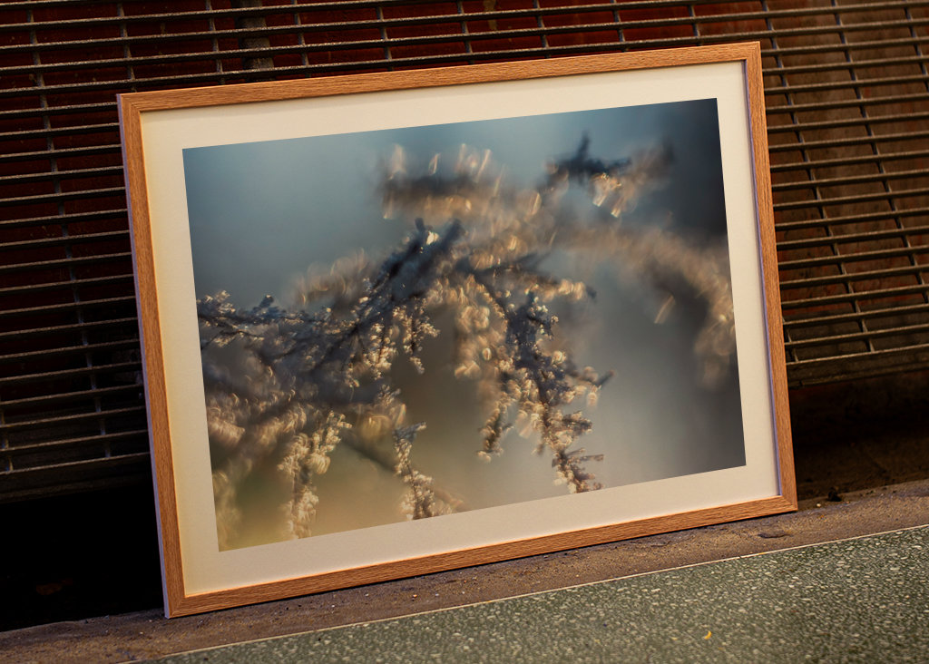 Huurteinen auringonlasku