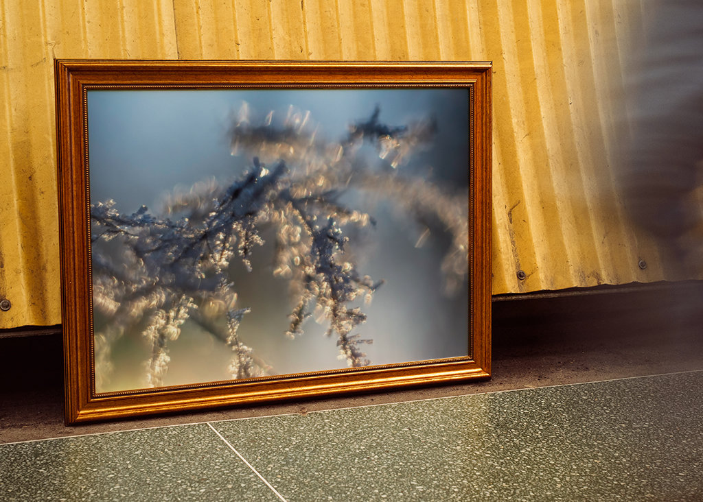 Huurteinen auringonlasku