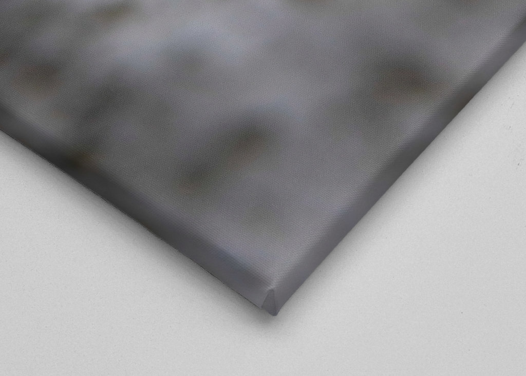 Schneckengeschwindigkeit