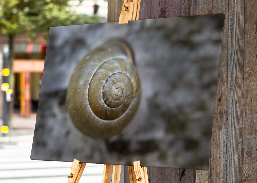 Schneckengeschwindigkeit