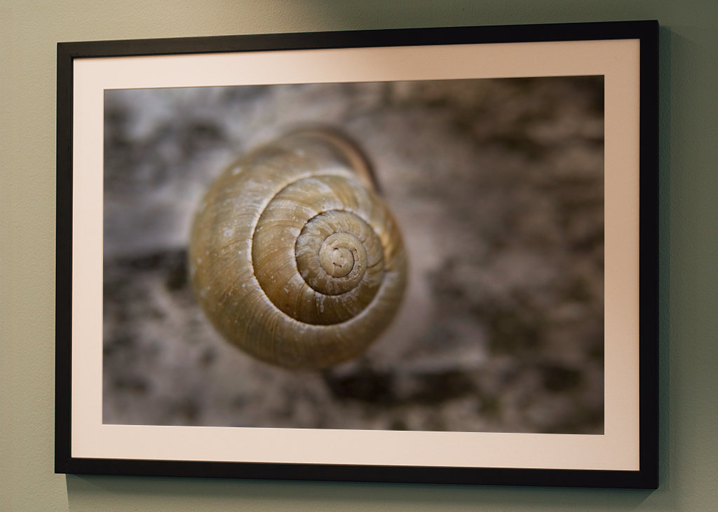 Schneckengeschwindigkeit