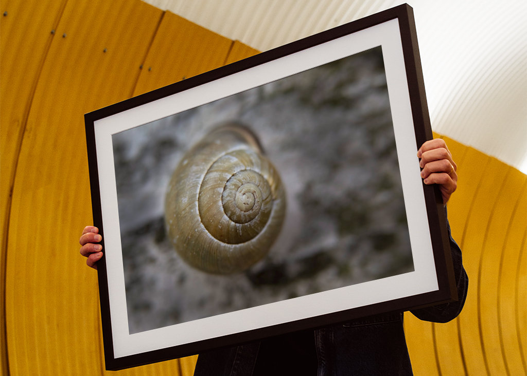 Schneckengeschwindigkeit